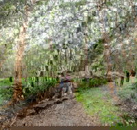 Venman Bushland National Park - Accommodation Burleigh