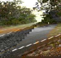 Warrah Trig cycling loop - Accommodation Burleigh