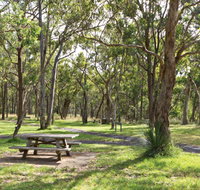 Wollomombi Gorge and Falls Picnic Area - Accommodation Burleigh