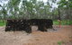 WWII Quarantine Anti Aircraft Battery Site - thumb 2
