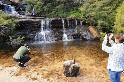 Ultimate Blue Mountains Waterfalls, Walks & Sunset PRIVATE Tour - Accommodation Burleigh 0
