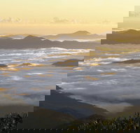 Banksia Point Picnic Area - Accommodation Burleigh