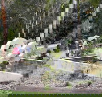 Maroochy Regional Bushland Botanic Garden - Accommodation Burleigh