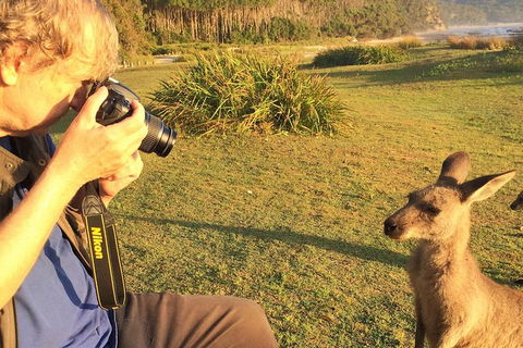 Highlights Of The Eurobodalla (half Day Private Tour) - Accommodation Burleigh 2