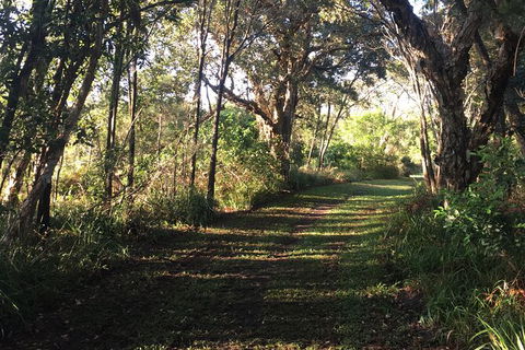 Coffs Harbour To Sawtell Bike Ride - Accommodation Burleigh 7