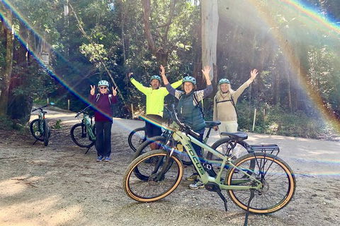 Guided E Bike Tour - Unicorn Falls & National Park - Accommodation Burleigh 3