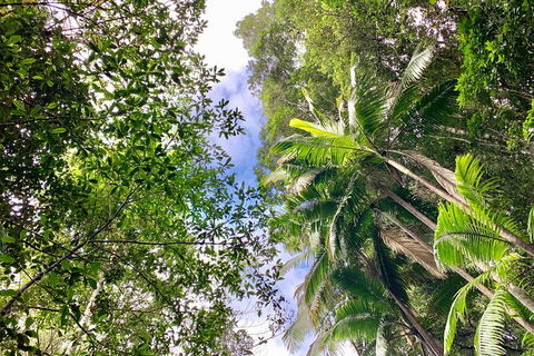 Guided E Bike Tour - Unicorn Falls & National Park - Accommodation Burleigh 5