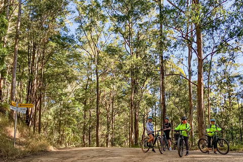 Guided E Bike Tour - Unicorn Falls & National Park - Accommodation Burleigh 10