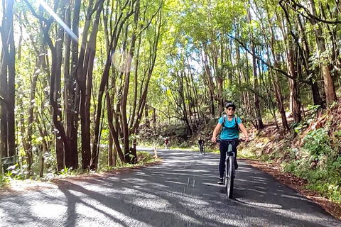 Guided E Bike Tour - Unicorn Falls & National Park - Accommodation Burleigh 16