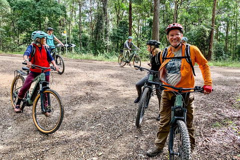 Guided E Bike Tour - Unicorn Falls & National Park - Accommodation Burleigh 18