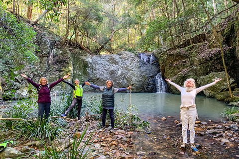 Guided E Bike Tour - Unicorn Falls & National Park - Accommodation Burleigh 8