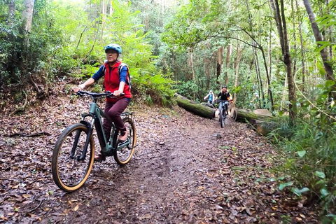 Guided E Bike Tour - Unicorn Falls & National Park - Accommodation Burleigh 9