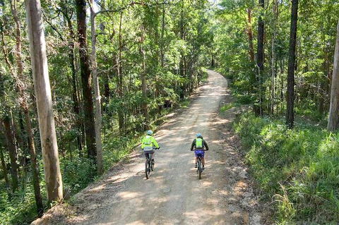Guided E Bike Tour - Unicorn Falls & National Park - Accommodation Burleigh 7