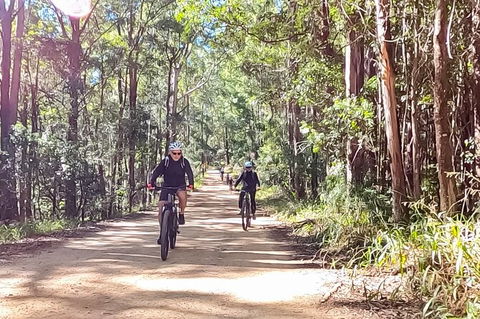 Guided E Bike Tour - Unicorn Falls & National Park - Accommodation Burleigh 6