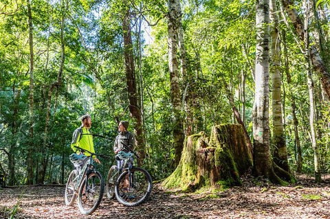 Guided E Bike Tour - Unicorn Falls & National Park - Accommodation Burleigh 14