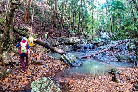 Guided E Bike Tour - Unicorn Falls & National Park - Accommodation Burleigh 17