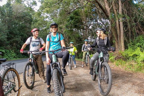 Guided E Bike Tour - Unicorn Falls & National Park - Accommodation Burleigh 11