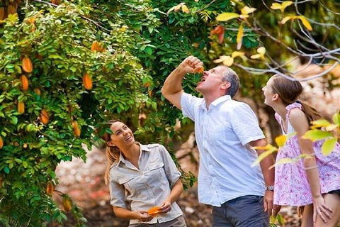 Full-Day Guided Tour Byron Bay With Pickup - Accommodation Burleigh 1