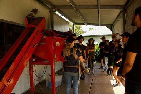 Pecan Farm Tour And Workshop, Byron Bay Hinterland - Accommodation Burleigh 4