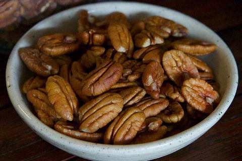 Pecan Farm Tour And Workshop, Byron Bay Hinterland - Accommodation Burleigh 5