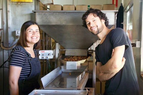 Pecan Farm Tour And Workshop, Byron Bay Hinterland - Accommodation Burleigh 7