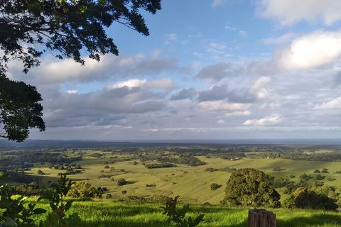 Pecan Farm Tour And Workshop, Byron Bay Hinterland - Accommodation Burleigh 1