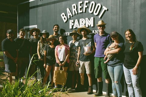 Pecan Farm Tour And Workshop, Byron Bay Hinterland - Accommodation Burleigh 0