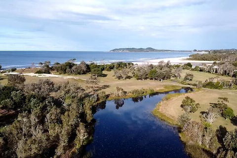 Coffee Farm Tour And Workshop, Byron Bay Hinterland - Accommodation Burleigh 3