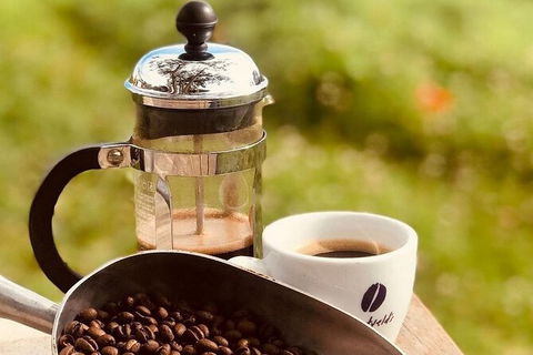 Coffee Farm Tour And Workshop, Byron Bay Hinterland - Accommodation Burleigh 0