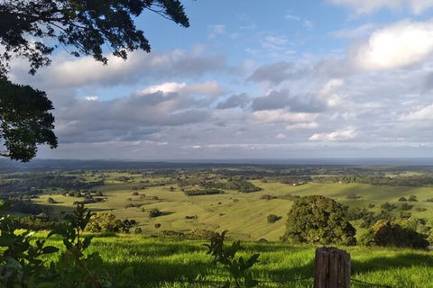 Coffee Farm Tour And Workshop, Byron Bay Hinterland - Accommodation Burleigh 4