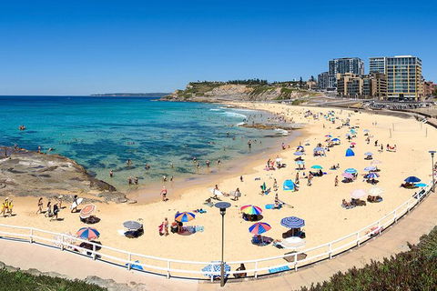 Newcastle Scenic Explorer - 2 Hour Tour By Minibus - Accommodation Burleigh 16