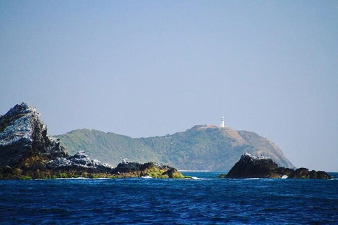 Julian Rocks Byron Bay Cruise - Accommodation Burleigh 2