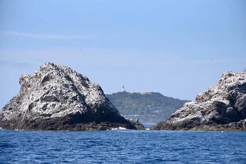 Julian Rocks Byron Bay Cruise - Accommodation Burleigh 14