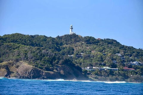 Julian Rocks Byron Bay Cruise - Accommodation Burleigh 7