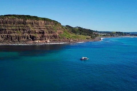 Julian Rocks Byron Bay Cruise - Accommodation Burleigh 6