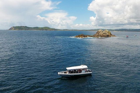 Julian Rocks Byron Bay Cruise - Accommodation Burleigh 0