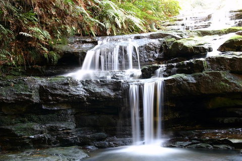Private 10-hour Tour To Blue Mountains From Sydney - Hotel Pick Up & Drop Off - Accommodation Burleigh 6
