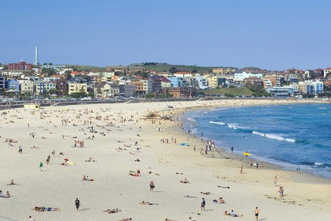 Sydney With Bondi And Beaches Essentials Private Day Tour - Accommodation Burleigh 2