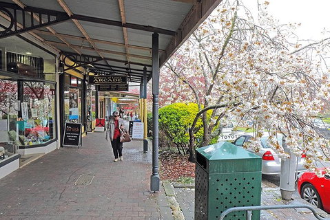 Blue Mountains Highlights, Wildlife Park And Scenic World Full Day Private Tour - Accommodation Burleigh 2