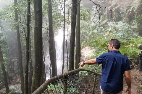 Blue Mountains Highlights, Wildlife Park And Scenic World Full Day Private Tour - Accommodation Burleigh 6