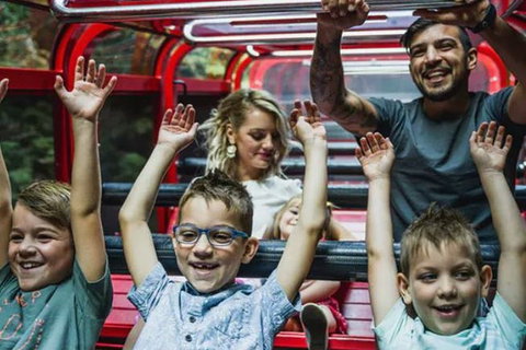 Blue Mountains Highlights, Wildlife Park And Scenic World Full Day Private Tour - Accommodation Burleigh 5