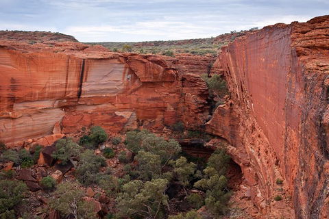 Uluru, Kata Tjuta And Kings Canyon Camping Safari From Alice Springs - Accommodation Burleigh 4