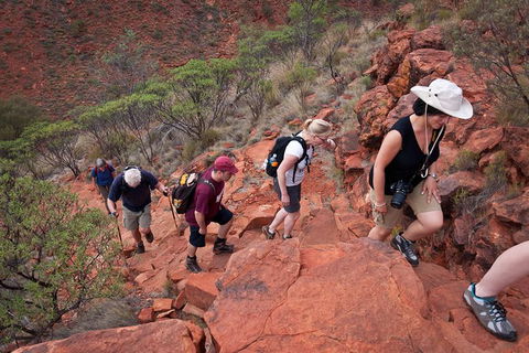 Uluru, Kata Tjuta And Kings Canyon Camping Safari From Alice Springs - Accommodation Burleigh 3