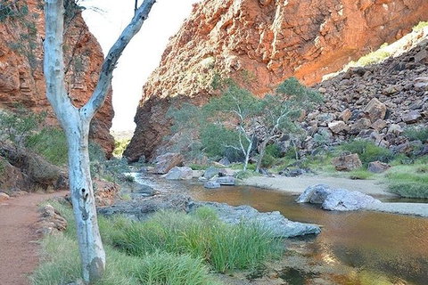 Alice Springs, Uluru Ayers Rock & Kings Canyon 8 Days Touring Package - Accommodation Burleigh 2