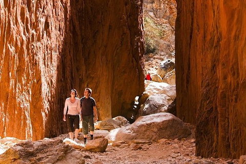 Alice Springs, Uluru Ayers Rock & Kings Canyon 8 Days Touring Package - Accommodation Burleigh 5