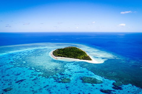 Lady Musgrave Day Trip From Bundaberg Including Snorkeling, Glass Bottom Tour And Guided Island Walk - Accommodation Burleigh 0