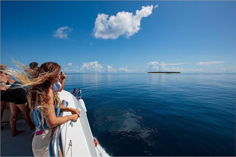 Lady Musgrave Day Trip From Bundaberg Including Snorkeling, Glass Bottom Tour And Guided Island Walk - Accommodation Burleigh 4