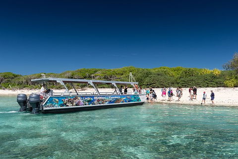 Lady Musgrave Day Trip From Bundaberg Including Snorkeling, Glass Bottom Tour And Guided Island Walk - Accommodation Burleigh 5