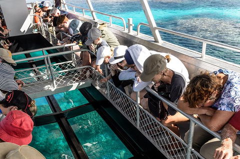 Lady Musgrave Day Trip From Bundaberg Including Snorkeling, Glass Bottom Tour And Guided Island Walk - Accommodation Burleigh 3