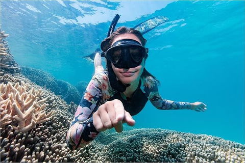 Lady Musgrave Day Trip From Bundaberg Including Snorkeling, Glass Bottom Tour And Guided Island Walk - Accommodation Burleigh 1
